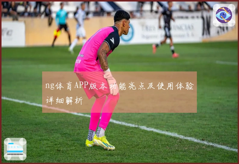 ng体育APP版本功能亮点及使用体验详细解析