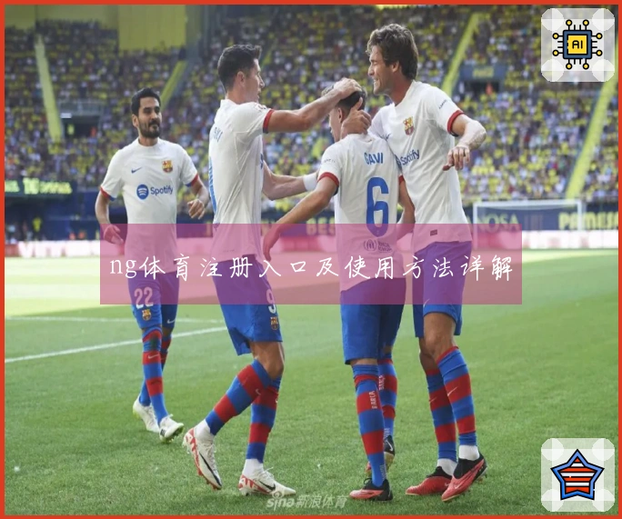 ng体育注册入口及使用方法详解
