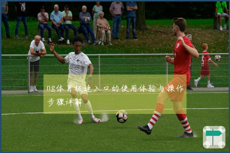 ng体育极速入口的使用体验与操作步骤详解
