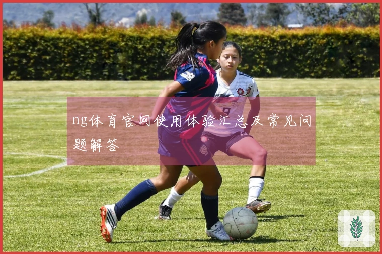 ng体育官网使用体验汇总及常见问题解答