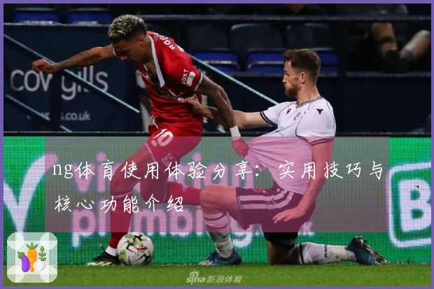 ng体育使用体验分享：实用技巧与核心功能介绍