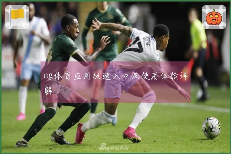 ng体育应用极速入口及使用体验详解