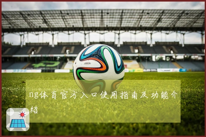 ng体育官方入口使用指南及功能介绍
