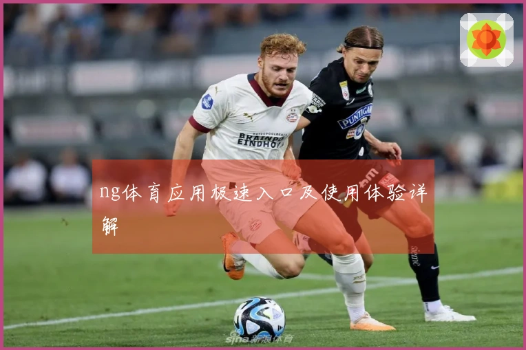 ng体育应用极速入口及使用体验详解